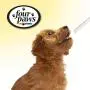 Four Paws Quick and Easy Pet Pill Dispenser Four Paws Quick and Easy Pet Pill Dispenser