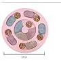 Yhytbhsh Pet Toy Dog Food Turntable Eating Puzzle Anti-Smashing Dog Bowl Supplies, Style:Round Style(Pink) FFIIKIF (Color : Green) Yhytbhsh Pet Toy Dog Food Turntable Eating Puzzle Anti-Smashing Dog Bowl Supplies, Style:Round Style(Pink) FFIIKIF (Color : Green)