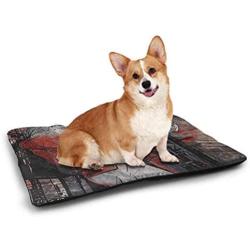 DayDayFun Music Cute Pet Mat Symbolic Music Notes Joy Artistic Vibes Pitch Beat Rhythm Sound Sonic Timbre Design Waterproof and Warm Pet Mattress Multicolor