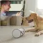 SKYMEE Owl Robot: Mobile Full HD Pet Camera with Treat Dispenser, Interactive Toy for Dogs and Cats, Remote Control via App (2.4G WiFi ONLY) SKYMEE Owl Robot: Mobile Full HD Pet Camera with Treat Dispenser, Interactive Toy for Dogs and Cats, Remote Control via App (2.4G WiFi ONLY)