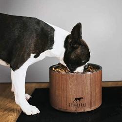 Stig & Bone Dog Bowls for Large Dogs – Elevated with Stand - Modern American Walnut Wood, Durable Stainless Steel – Raised Dog Feeder for Food and Water (Single Bowl)