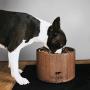 Stig & Bone Dog Bowls for Large Dogs – Elevated with Stand - Modern American Walnut Wood, Durable Stainless Steel – Raised Dog Feeder for Food and Water (Single Bowl)
