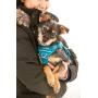 RC Pet Products Momentum Dog Harness