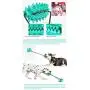 Dog Chew Toy with Durable Rope and Two Suction Cups for Teeth Cleaning/Resist Strong Pull of Dogs (Green)… (Green) Dog Chew Toy with Durable Rope and Two Suction Cups for Teeth Cleaning/Resist Strong Pull of Dogs (Green)… (Green)