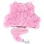 POPETPOP Dog Leash and Harness for Girls,Cute Dog Flower Harness Waking Vest Harness and Pet Leash for Halloween Wedding Cat Puppy Girl POPETPOP Dog Leash and Harness for Girls,Cute Dog Flower Harness Waking Vest Harness and Pet Leash for Halloween Wedding Cat Puppy Girl