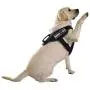 Dogline Service Dog Patch for Harness and Vest Removable 3D Rubber Patches Hook Backing for Small or Large Working Dogs Dogline Service Dog Patch for Harness and Vest Removable 3D Rubber Patches Hook Backing for Small or Large Working Dogs