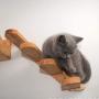 Cat Ladder Steps - Pet Cat Wall Mount Staircase Climbing Step Shelves Walkway Lounge Activity Centres Play Furniture