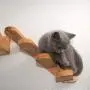 Cat Ladder Steps - Pet Cat Wall Mount Staircase Climbing Step Shelves Walkway Lounge Activity Centres Play Furniture