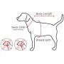 Pinkaholic New York Trinity I Harness/Pants Combo for Dogs, Small, Navy