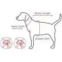 Pinkaholic New York Trinity I Harness/Pants Combo for Dogs, Small, Navy Pinkaholic New York Trinity I Harness/Pants Combo for Dogs, Small, Navy