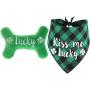 Shamrock Dog Bandana and Plush Dog Squeaky Bone Toy for Small Medium Dogs,Pet Gifts for St. Patricks Day