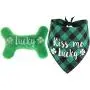 Shamrock Dog Bandana and Plush Dog Squeaky Bone Toy for Small Medium Dogs,Pet Gifts for St. Patricks Day