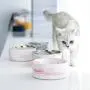 Cat Ceramic Bowl Pet Solid Wooden Frame Cat Drink Water Bowl Dog Food Basin Dog Bowl Ragdoll Food Bowl Cat Supplies (Pink) Cat Ceramic Bowl Pet Solid Wooden Frame Cat Drink Water Bowl Dog Food Basin Dog Bowl Ragdoll Food Bowl Cat Supplies (Pink)