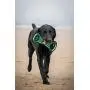 Pets First NCAA Football Field Dog Toy with Squeaker. - Michigan Wolverines - for Tug, Toss, and Fetch. - Tough & Durable PET Toy Pets First NCAA Football Field Dog Toy with Squeaker. - Michigan Wolverines - for Tug, Toss, and Fetch. - Tough & Durable PET Toy