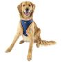 Furhaven Pet - Hands-Free Bungee Dog Leash, LED Collar and Leash Extender, Vehicle Safety Seat Belt Clip, Vest Harness, and More for Active Dogs and Cats - Multiple Colors, Styles, and Sizes