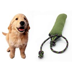 BeesClover 30cm Pet Training Stick Tracking Biting Oxford Cloth Chewing Interactive Toy pet Gift