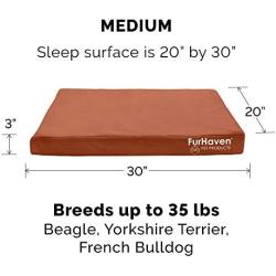 Furhaven Pet - Traditional Orthopedic Foam Mattress Dog Bed and Calming Anti-Anxiety Round Oval Nest Cuddler Dog Bed for Dogs and Cats - Multiple Sizes, Styles, and Colors.