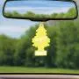 LITTLE TREES Car Air Freshener I Hanging Tree Provides Long Lasting Scent for Auto or Home I Lemon Grove, 24 Count, (4) 6-Packs