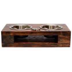 Beagle, Tricolour Beagle, a Dogs Bowl with a Relief from ArtDog