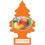 LITTLE TREES Car Air Freshener I Hanging Tree Provides Long Lasting Scent for Auto or Home I Peachy Peach, 24 Count, (4) 6-Packs