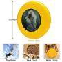 Pet Frisbee Flying Disc Dog Toy - Multifunction Agony in The Garden Frans Schwartz
