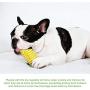 YF-TOW Dog Chew Toys Corn Molar Dog Toys Puppy Toothbrush Toys，Teething Cleaning Dental Toys with Rope, Bite Resistance for Dog Teeth Cleaning