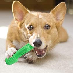 MOCOPO Dog Chew Toys Toothbrush for Small Medium Large Pets Puppies Aggressive Chewers Teeth Cleaning Dental Oral Care - Fun Squeaky Chew, Chase and Fetch