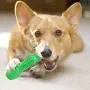 MOCOPO Dog Chew Toys Toothbrush for Small Medium Large Pets Puppies Aggressive Chewers Teeth Cleaning Dental Oral Care - Fun Squeaky Chew, Chase and Fetch