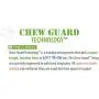 goDog Dragon With Chew Guard Technology Tough Plush Dog Toy, Lime, Small