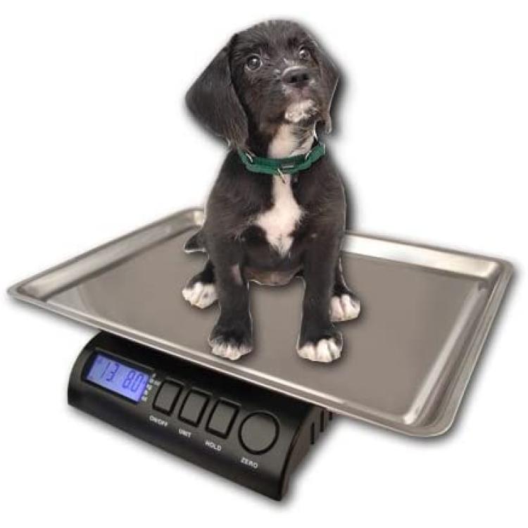 WC Redmon Precision Digital Pet Scales Professional Dog Groomer Vet Shelter  - Choose Size(Large - Up to 225 lbs)