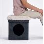 Generies Funny Living Collapsible cat House,cat Cube,Ottoman, Foldable cat condo,cat Sleeper,cat Cushion,cat Hiding Place.