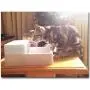 Xihouxian White and Blue LED Pet Smart Water Dispenser Cat and Dog Drinking Basin Electric Water Feeder Double Filter Water Injection Water Mute ABS Large Capacity 1.8L C40 Xihouxian White and Blue LED Pet Smart Water Dispenser Cat and Dog Drinking Basin Electric Water Feeder Double Filter Water Injection Water Mute ABS Large Capacity 1.8L C40