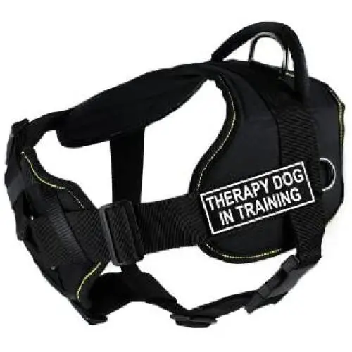 Dean & Tyler D&T FUN-CH TPYDIT YT-M Fun Dog Harness with Padded Chest Piece, Therapy Dog In Training, Medium, Fits Girth 71cm to 86cm, Black with Yellow Trim Dean & Tyler D&T FUN-CH TPYDIT YT-M Fun Dog Harness with Padded Chest Piece, Therapy Dog In Training, Medium, Fits Girth 71cm to 86cm, Black with Yellow Trim