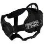 Dean & Tyler D&T FUN-CH TPYDIT YT-M Fun Dog Harness with Padded Chest Piece, Therapy Dog In Training, Medium, Fits Girth 71cm to 86cm, Black with Yellow Trim Dean & Tyler D&T FUN-CH TPYDIT YT-M Fun Dog Harness with Padded Chest Piece, Therapy Dog In Training, Medium, Fits Girth 71cm to 86cm, Black with Yellow Trim