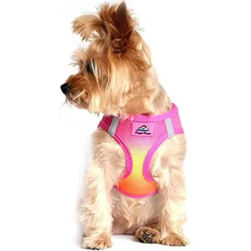 Ultra Choke Free Step in Reflective Dog Harness American River Ombre Raspberry Pink Orange Ultra Choke Free Step in Reflective Dog Harness American River Ombre Raspberry Pink Orange