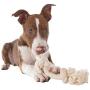 Flossy Chews 100-Percent Cotton White Rope Bone, Small, 9-Inch