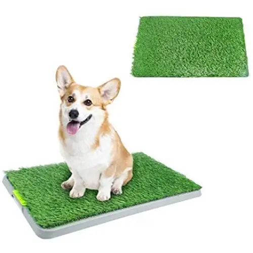 PAWISE Dog Puppy Grass Potty Training Pad Outdoor Puppy Toilet Mat Tray Indoor Restroom for Small Cats and Dogs (27'' x 17) with a Replacement Grass Pad