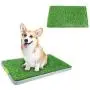 PAWISE Dog Puppy Grass Potty Training Pad Outdoor Puppy Toilet Mat Tray Indoor Restroom for Small Cats and Dogs (27'' x 17) with a Replacement Grass Pad