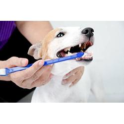 Dukes Pet Products Two-Piece Dog Toothbrush Set: Double Sided Canine Dental Hygiene Brushes with Long 8 1/2 Inch Handles and Super Soft Bristles