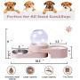 PetFun 2 in1 Pet Bowls Set Automatic Water Dispenser, No-Spill Dog Water Bowl & Dish Stainless Steel Durable & Detachable Feeder Bowl for Cats & Dogs