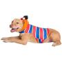 Pet Krewe Ernie Costume - Sesame Street Ernie Dog Costume - Fits Small, Medium, Large and Extra Large Pets - Perfect for Halloween, Parties, Photoshoots, Gifts for Dog Lovers