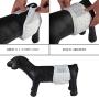 Pet Soft Male Pet Simple & Convenient Disposable Wrap Dog Diapers, White, 12 Count/Small Pet Soft Male Pet Simple & Convenient Disposable Wrap Dog Diapers, White, 12 Count/Small
