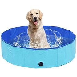 Duraball Foldable Non Inflatable Pool for Dogs and Kids