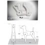 Dog Model, Dog Mannequin + Dog Wig for Scissoring Practice for Dog Groomers