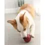 HYJA-Z Toy Balls for Dogs Pet Supplies Rotatable Switch Leaking Device Relieve Artifact Pet Killing time Toy,11cm,Blue HYJA-Z Toy Balls for Dogs Pet Supplies Rotatable Switch Leaking Device Relieve Artifact Pet Killing time Toy,11cm,Blue