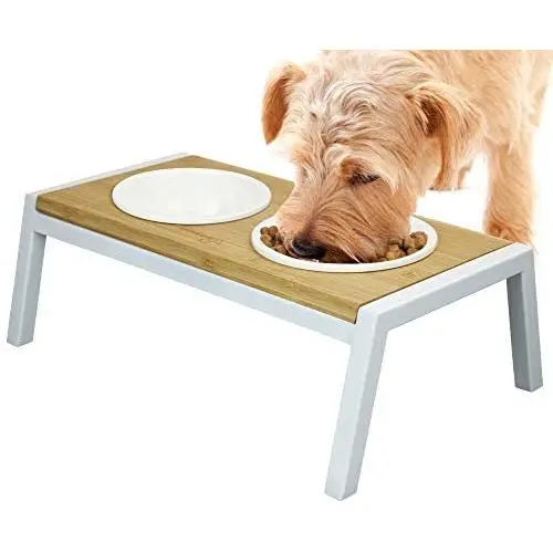 WANTRYAPET Elevated Dog Bowls Antirust Stainless Steel Raise Pet Feeder for Dog Cat