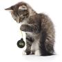 OurPets Catnip Vinyl Refillable Bomb Cat Toy Catnip Explosion