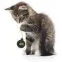 OurPets Catnip Vinyl Refillable Bomb Cat Toy Catnip Explosion OurPets Catnip Vinyl Refillable Bomb Cat Toy Catnip Explosion