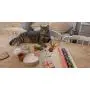 BoomBone 3 Pack Christmas Cat Ball Toy with Bell,Kitten Chase Toy BoomBone 3 Pack Christmas Cat Ball Toy with Bell,Kitten Chase Toy