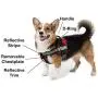 Dogline Unimax Multi-Purpose Dog Harness Vest with in Training Patches Adjustable Straps, Comfy Fit, Breathable Neoprene for Medical, Service, Identification and Training Dogs Dogline Unimax Multi-Purpose Dog Harness Vest with in Training Patches Adjustable Straps, Comfy Fit, Breathable Neoprene for Medical, Service, Identification and Training Dogs